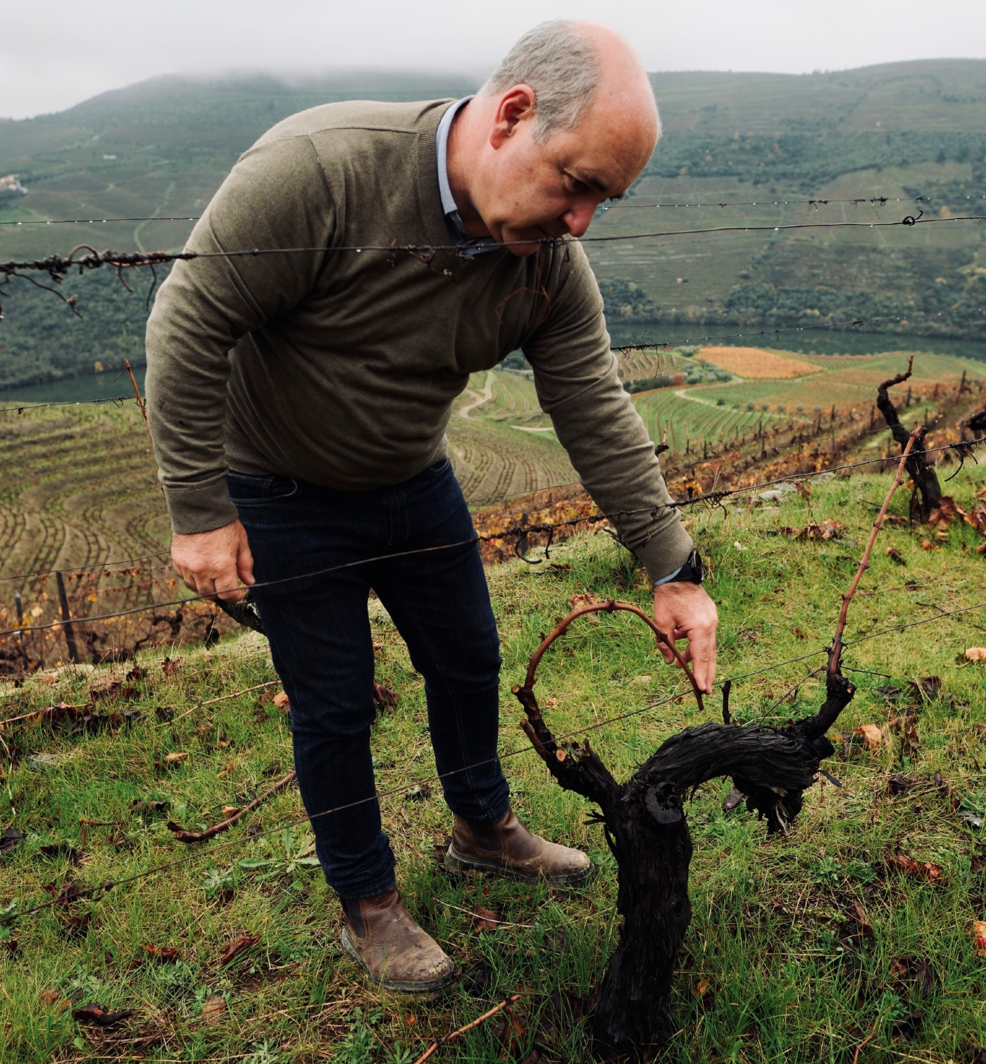 Carlos Jorge Rodrigues Quinta da Roeda